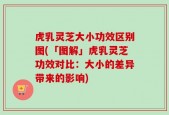 虎乳灵芝大小功效区别图(「图解」虎乳灵芝功效对比：大小的差异带来的影响)