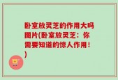 卧室放灵芝的作用大吗图片(卧室放灵芝：你需要知道的惊人作用！)