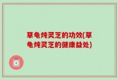 草龟炖灵芝的功效(草龟炖灵芝的健康益处)