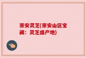 崇安灵芝(崇安山区宝藏：灵芝盛产地)