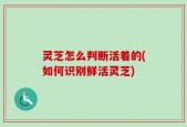 灵芝怎么判断活着的(如何识别鲜活灵芝)