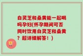 白灵芝和桑黄能一起喝吗孕妇(怀孕期间可否同时饮用白灵芝和桑黄？超详细解答！)