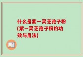 什么是紫一灵芝孢子粉(紫一灵芝孢子粉的功效与用法)