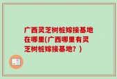 广西灵芝树桩嫁接基地在哪里(广西哪里有灵芝树桩嫁接基地？)
