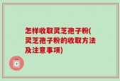 怎样收取灵芝孢子粉(灵芝孢子粉的收取方法及注意事项)