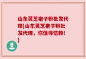 山东灵芝孢子粉批发代理(山东灵芝孢子粉批发代理，你值得信赖！)