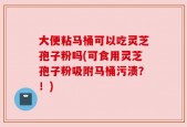 大便粘马桶可以吃灵芝孢子粉吗(可食用灵芝孢子粉吸附马桶污渍？！)