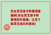 东北灵芝孢子粉基地直播间(东北灵芝孢子粉基地实时直播，让您了解灵芝成长的奥秘)
