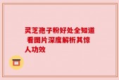 灵芝孢子粉好处全知道 看图片深度解析其惊人功效
