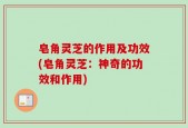 皂角灵芝的作用及功效(皂角灵芝：神奇的功效和作用)