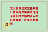 怎么能养活灵芝孢子菌？想买西洋参和灵芝孢子菌粉给生病的老人吃已癌晚期，还有这必要吗