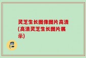 灵芝生长图像图片高清(高清灵芝生长图片展示)
