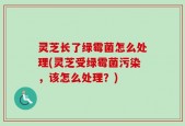 灵芝长了绿霉菌怎么处理(灵芝受绿霉菌污染，该怎么处理？)