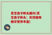 灵芝孢子粉丸图片(灵芝孢子粉丸：天然植物精华营养丰富)
