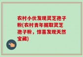 农村小伙发现灵芝孢子粉(农村青年掘取灵芝孢子粉，惊喜发现天然宝藏)