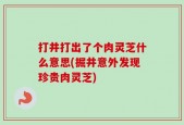 打井打出了个肉灵芝什么意思(掘井意外发现珍贵肉灵芝)