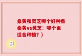 桑黄和灵芝哪个好种些桑黄vs灵芝：哪个更适合种植？)