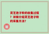 灵芝孢子粉的收集过程？详细介绍灵芝孢子粉的采集方法？