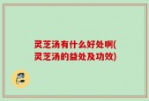 灵芝汤有什么好处啊(灵芝汤的益处及功效)
