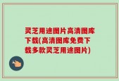 灵芝用途图片高清图库下载(高清图库免费下载多款灵芝用途图片)