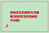 桃核灵芝的雕刻方法图解(桃核灵芝的刻画技巧详解)