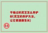 干燥过的灵芝怎么养护好(灵芝的养护方法，让它更健康生长)