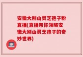 安徽大别山灵芝孢子粉直播(直播带你领略安徽大别山灵芝孢子的奇妙世界)