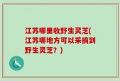 江苏哪里收野生灵芝(江苏哪地方可以采摘到野生灵芝？)