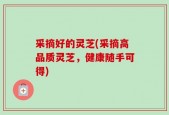 采摘好的灵芝(采摘高品质灵芝，健康随手可得)
