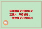 装饰图案灵芝图片(灵芝图片  芬香滋补，一图读懂灵芝的奥秘)