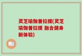 灵芝瑜伽普拉提(灵芝瑜伽普拉提 融合健身新体验)