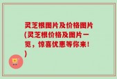 灵芝根图片及价格图片(灵芝根价格及图片一览，惊喜优惠等你来！)