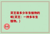 灵芝是多少年生植物的呢(灵芝：一种多年生植物。)