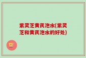 紫灵芝黄芪泡水(紫灵芝和黄芪泡水的好处)