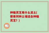 种植灵芝用什么泥土(使用何种土壤适合种植灵芝？)