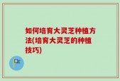 如何培育大灵芝种植方法(培育大灵芝的种植技巧)