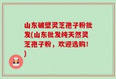 山东破壁灵芝孢子粉批发(山东批发纯天然灵芝孢子粉，欢迎选购！)