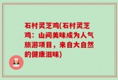 石村灵芝鸡(石村灵芝鸡：山间美味成为人气旅游项目，来自大自然的健康滋味)