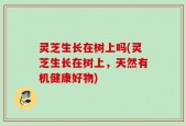 灵芝生长在树上吗(灵芝生长在树上，天然有机健康好物)