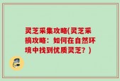 灵芝采集攻略(灵芝采摘攻略：如何在自然环境中找到优质灵芝？)