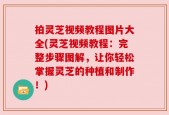 拍灵芝视频教程图片大全(灵芝视频教程：完整步骤图解，让你轻松掌握灵芝的种植和制作！)