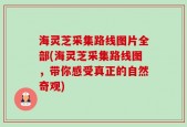 海灵芝采集路线图片全部(海灵芝采集路线图，带你感受真正的自然奇观)