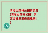青龙山森林公园有灵芝(青龙山森林公园：灵芝宝库呈现在你眼前！)