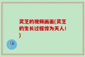 灵芝的视频画面(灵芝的生长过程惊为天人！)