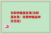 石斛种植苗批发(石斛苗批发：优质种植品种任您选)