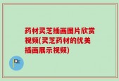 药材灵芝插画图片欣赏视频(灵芝药材的优美插画展示视频)