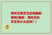 薄树芝跟灵芝区别图解视频(图解：薄树芝和灵芝有什么区别？)
