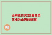 山姆夏日灵芝(夏日灵芝成为山姆的新宠)