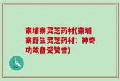 柬埔寨灵芝药材(柬埔寨野生灵芝药材：神奇功效备受赞誉)
