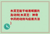 木灵芝能干啥用呢图片及功效(木灵芝：神奇中药的功效与应用方法)